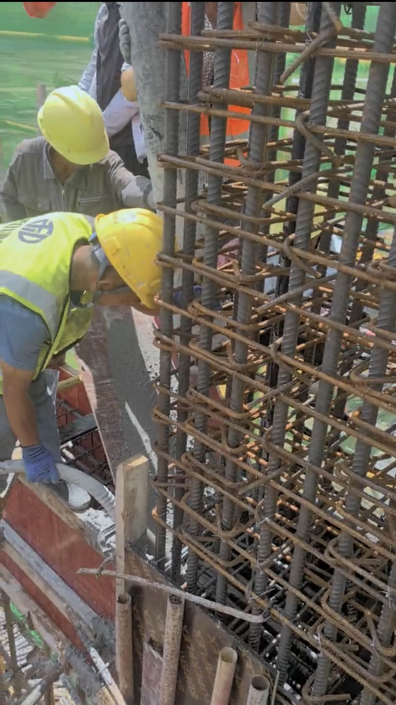 8a48767b3a2fb278a74b0f840232612